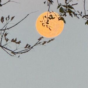 Meet your Posher, Marilyn